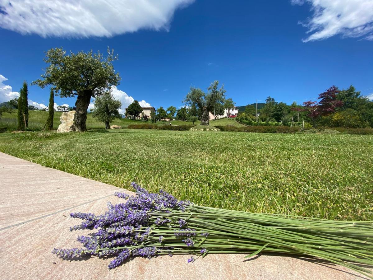 לינה וארוחת בוקר Gaggio Montano L'Oca Giuliva Relais מראה חיצוני תמונה