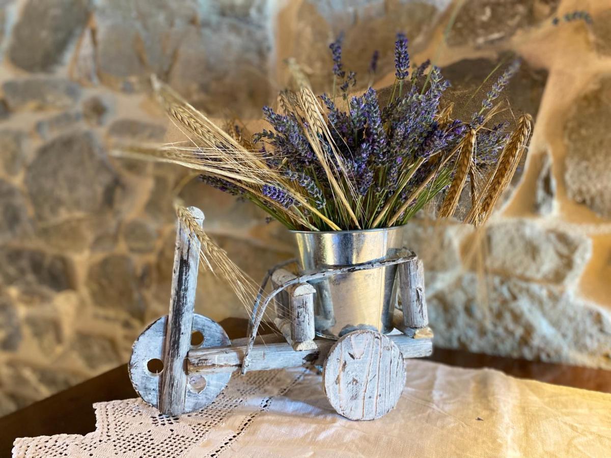 לינה וארוחת בוקר Gaggio Montano L'Oca Giuliva Relais מראה חיצוני תמונה