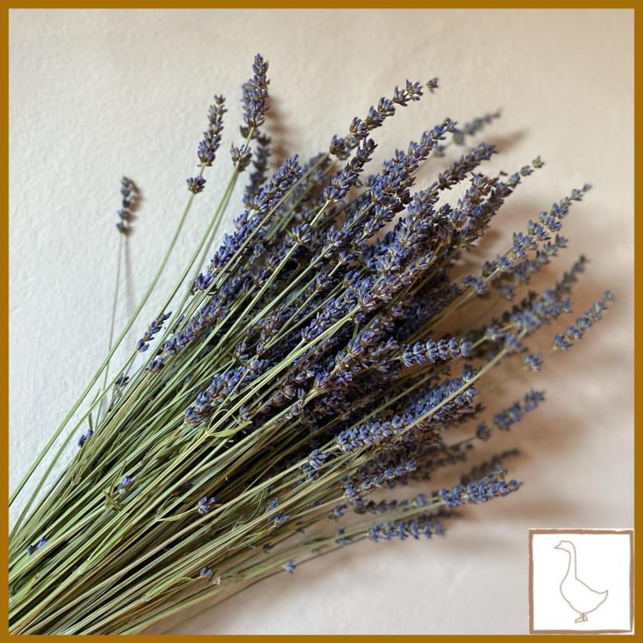 לינה וארוחת בוקר Gaggio Montano L'Oca Giuliva Relais מראה חיצוני תמונה